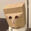 ZCAT图标